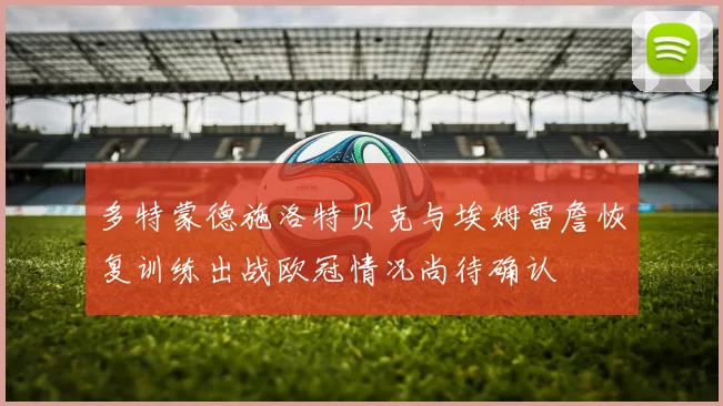 多特蒙德施洛特贝克与埃姆雷詹恢复训练出战欧冠情况尚待确认